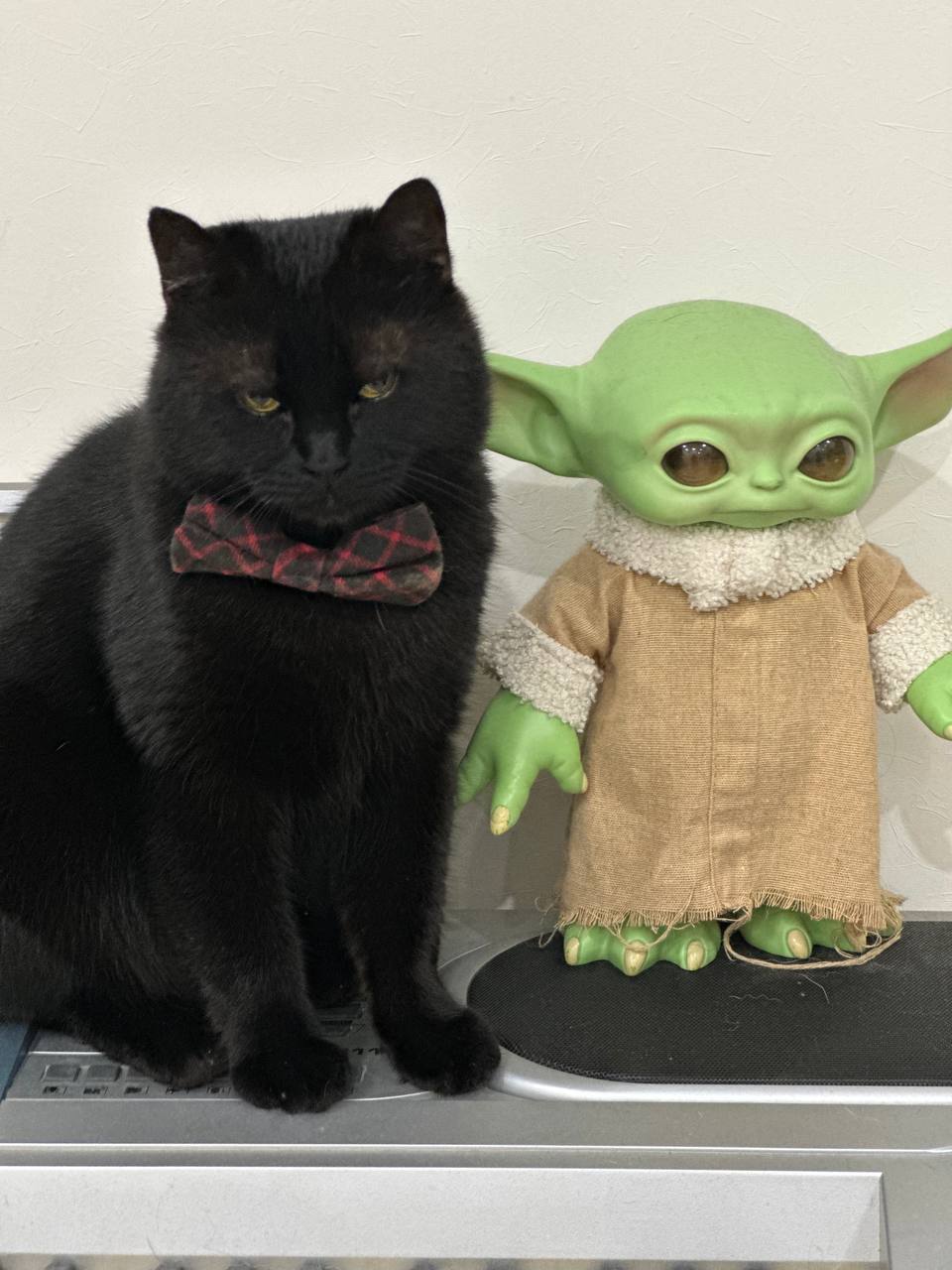 Доброе утро, Кубань!. Краснодар +9 °С Доброе утро, Кубань!. Краснодар +9 °С