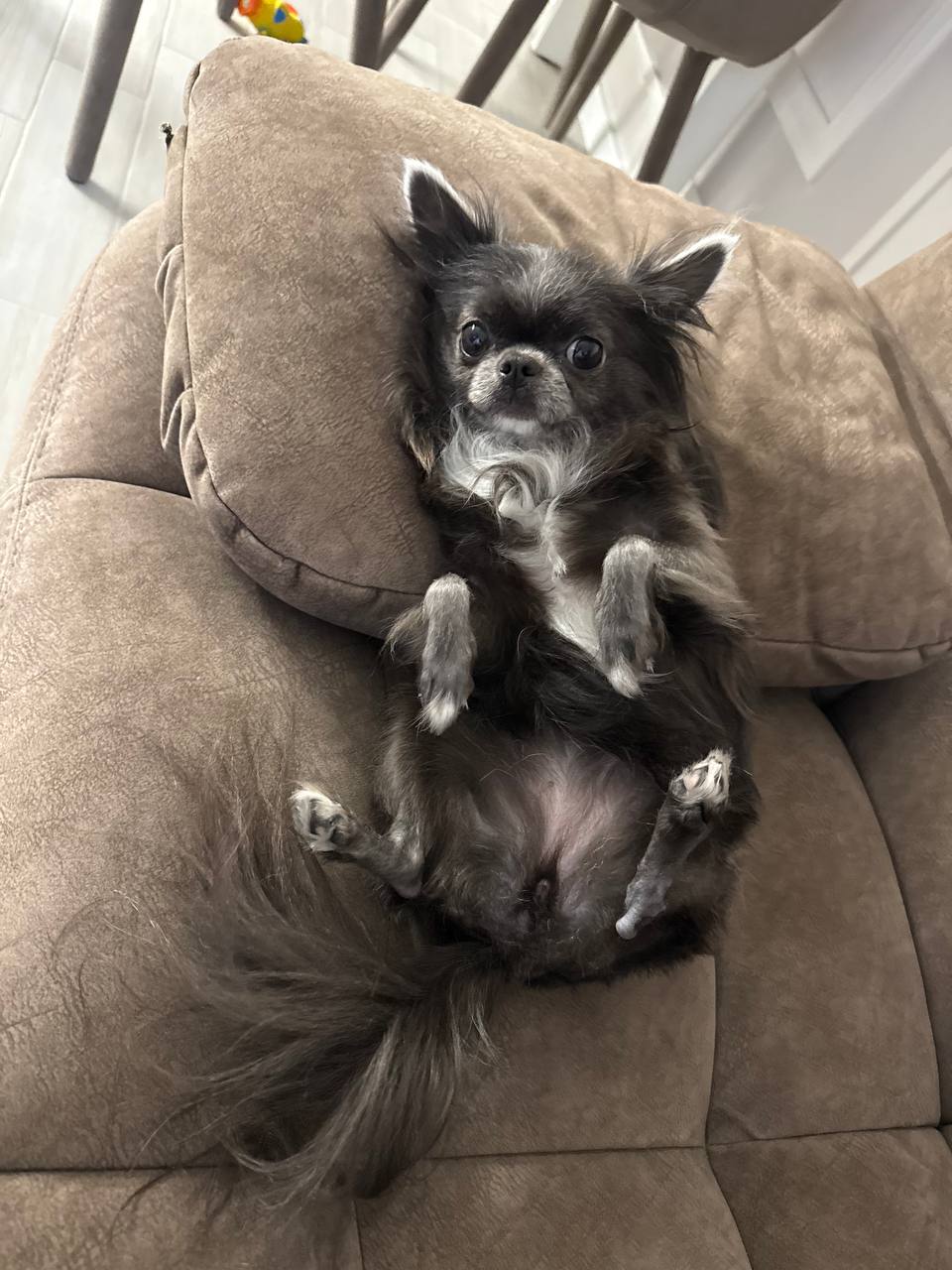 Доброе утро, Кубань!. Краснодар +9 °С Доброе утро, Кубань!. Краснодар +9 °С