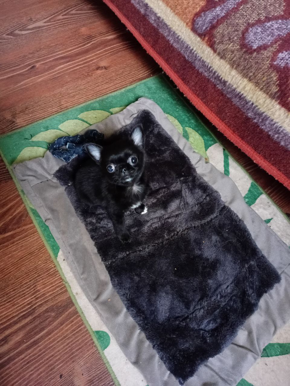 Доброе утро, Кубань!. Краснодар +9 °С Доброе утро, Кубань!. Краснодар +9 °С