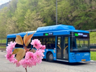 �� �� �����, ������� ����� �������� ��� ���