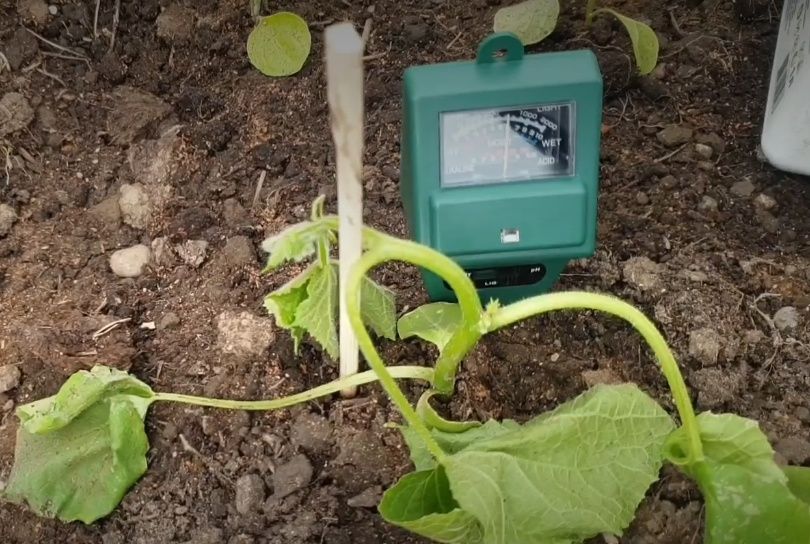 ��� ������ ����������� �����: ����������� ������ � ��������-����������