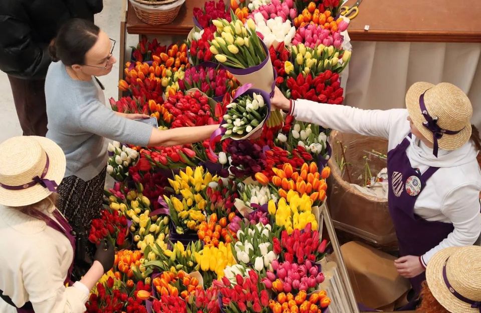 ����� �������� ���� ��������� ����� 71 ����� ������ � 8 �����