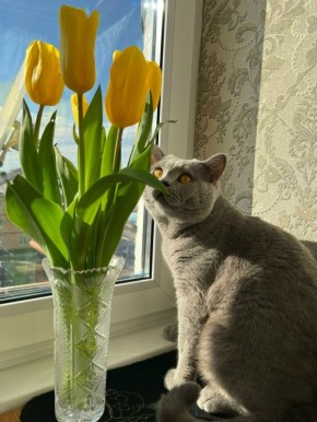 ������ ����, ������!. ��������� +4 ��