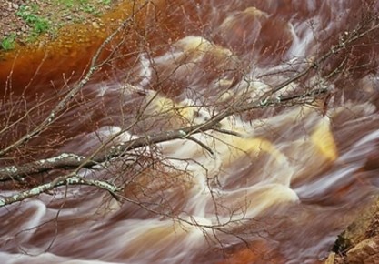 Отметила праздник. В Краснодарском крае в селе Барановка женщина упала в ручей возле улицы Армянской — выбраться самостоятельно она не смогла