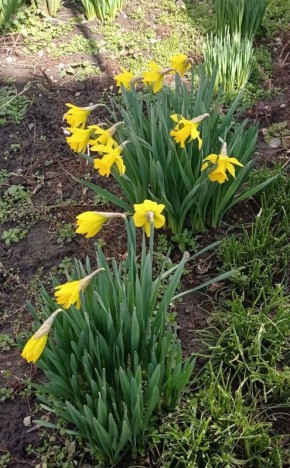 � ������ �� 10 �����. � ������������� ���� �����������