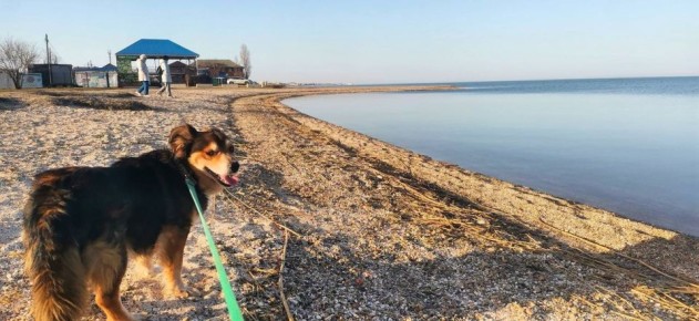 � ������ �� 11 ����� . � ������������� ���� �����������