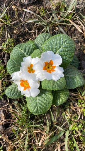 О погоде на 13 марта . В Краснодарском крае небольшая облачность