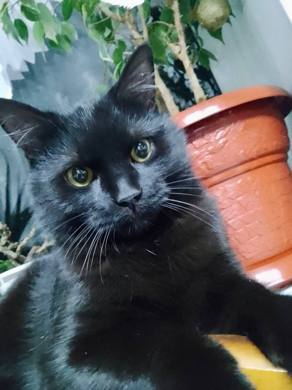 Доброе утро, Кубань!. Краснодар +3…+13 °С Доброе утро, Кубань!. Краснодар +3…+13 °С