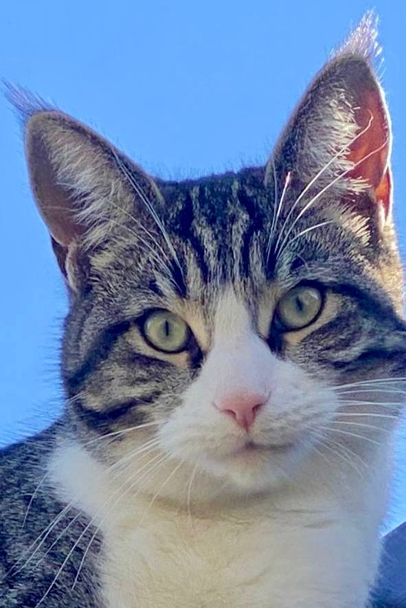 Доброе утро, Кубань!. Краснодар +3…+13 °С Доброе утро, Кубань!. Краснодар +3…+13 °С