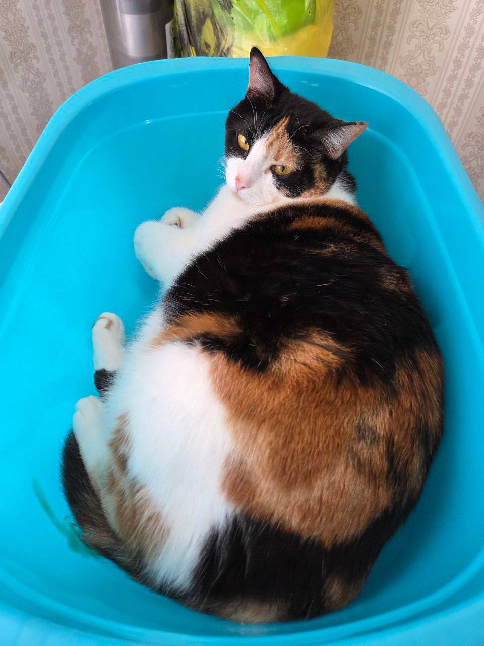 О погоде на 13 марта . В Краснодарском крае небольшая облачность О погоде на 13 марта . В Краснодарском крае небольшая облачность