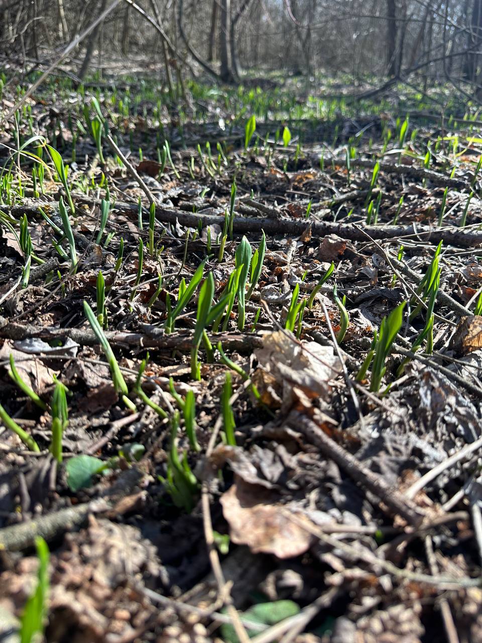 О погоде на 13 марта . В Краснодарском крае небольшая облачность О погоде на 13 марта . В Краснодарском крае небольшая облачность