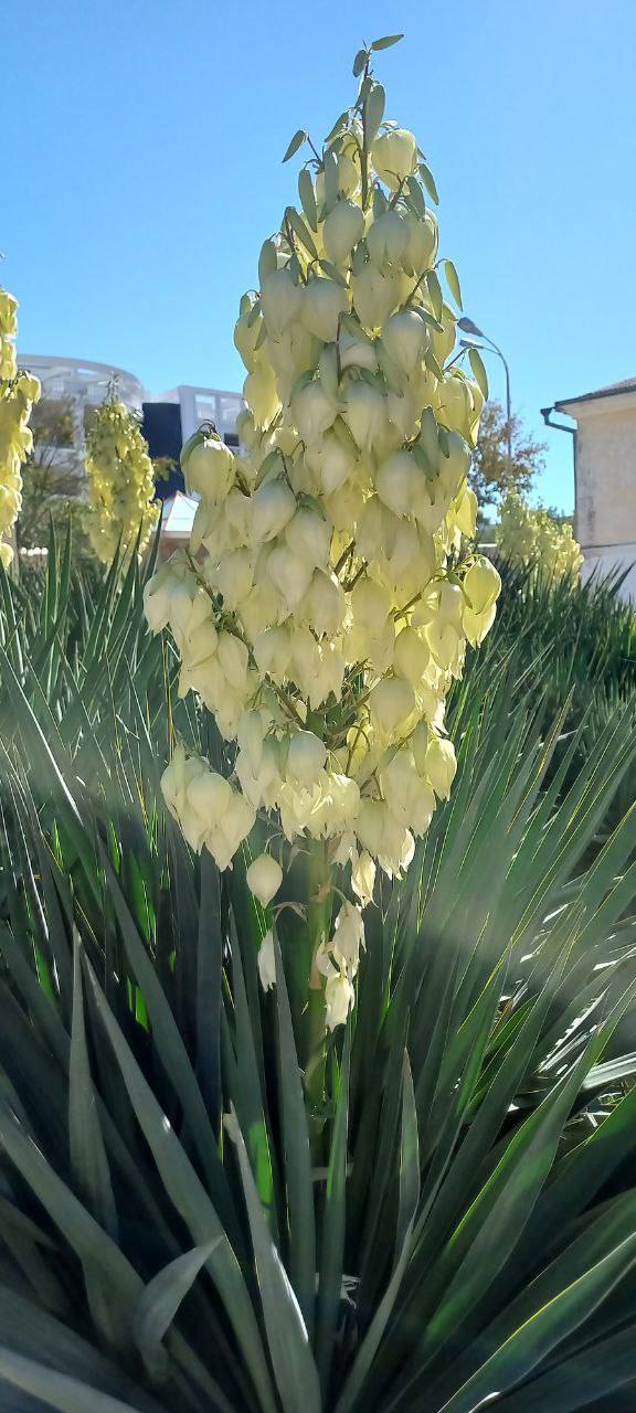 О погоде на 13 марта . В Краснодарском крае небольшая облачность О погоде на 13 марта . В Краснодарском крае небольшая облачность