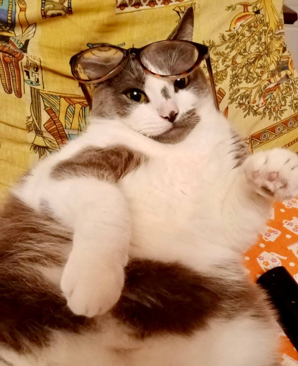 Доброе утро, Кубань!. Краснодар +3…+13 °С Доброе утро, Кубань!. Краснодар +3…+13 °С