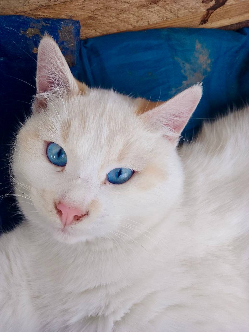 Доброе утро, Кубань!. Краснодар +3…+13 °С Доброе утро, Кубань!. Краснодар +3…+13 °С