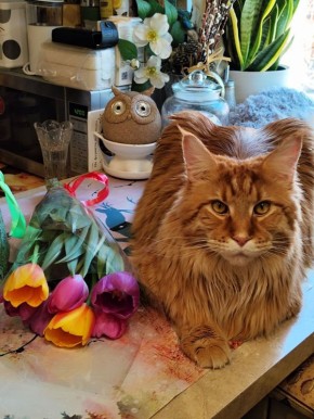 ������ ����, ������!. ��������� +3�+13 ��