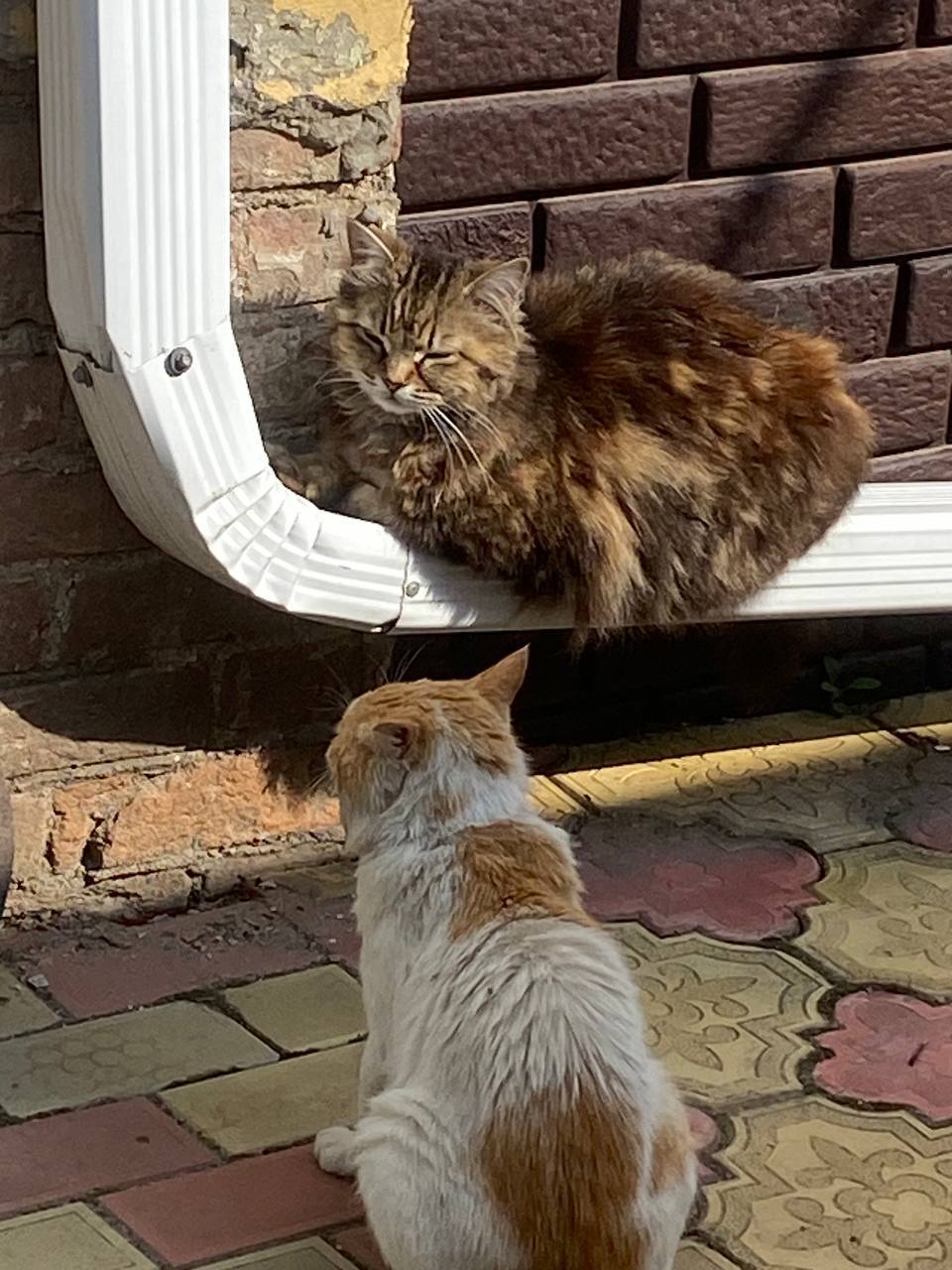 Доброе утро, Кубань!. Краснодар +14 °С Доброе утро, Кубань!. Краснодар +14 °С