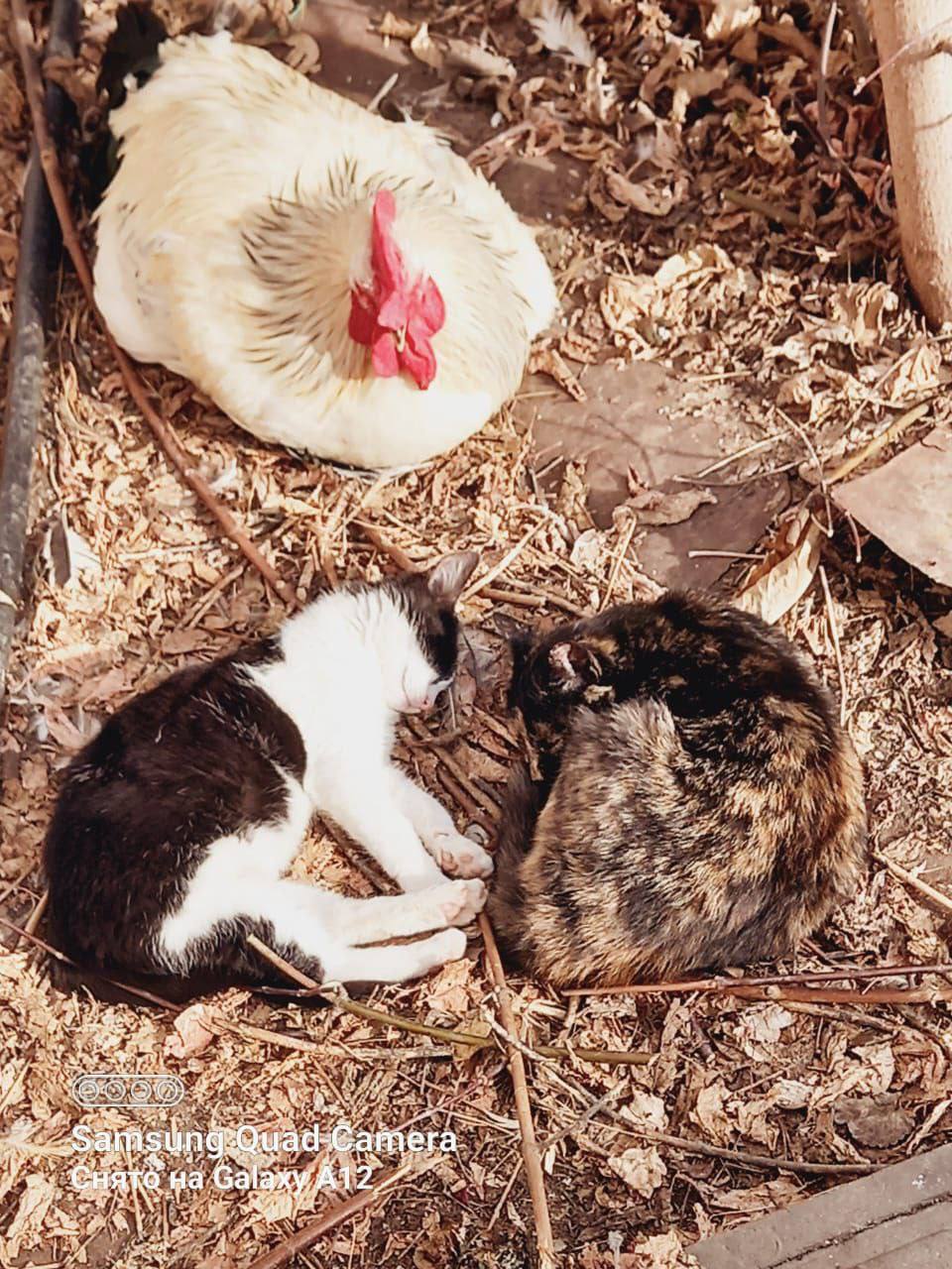 О погоде на 15 марта . В Краснодарском крае небольшая облачность О погоде на 15 марта . В Краснодарском крае небольшая облачность