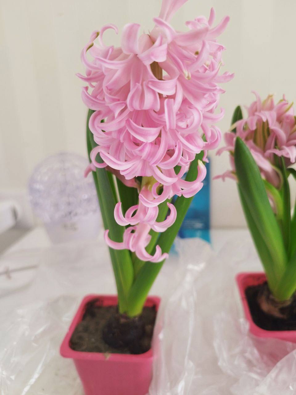 О погоде на 15 марта . В Краснодарском крае небольшая облачность О погоде на 15 марта . В Краснодарском крае небольшая облачность