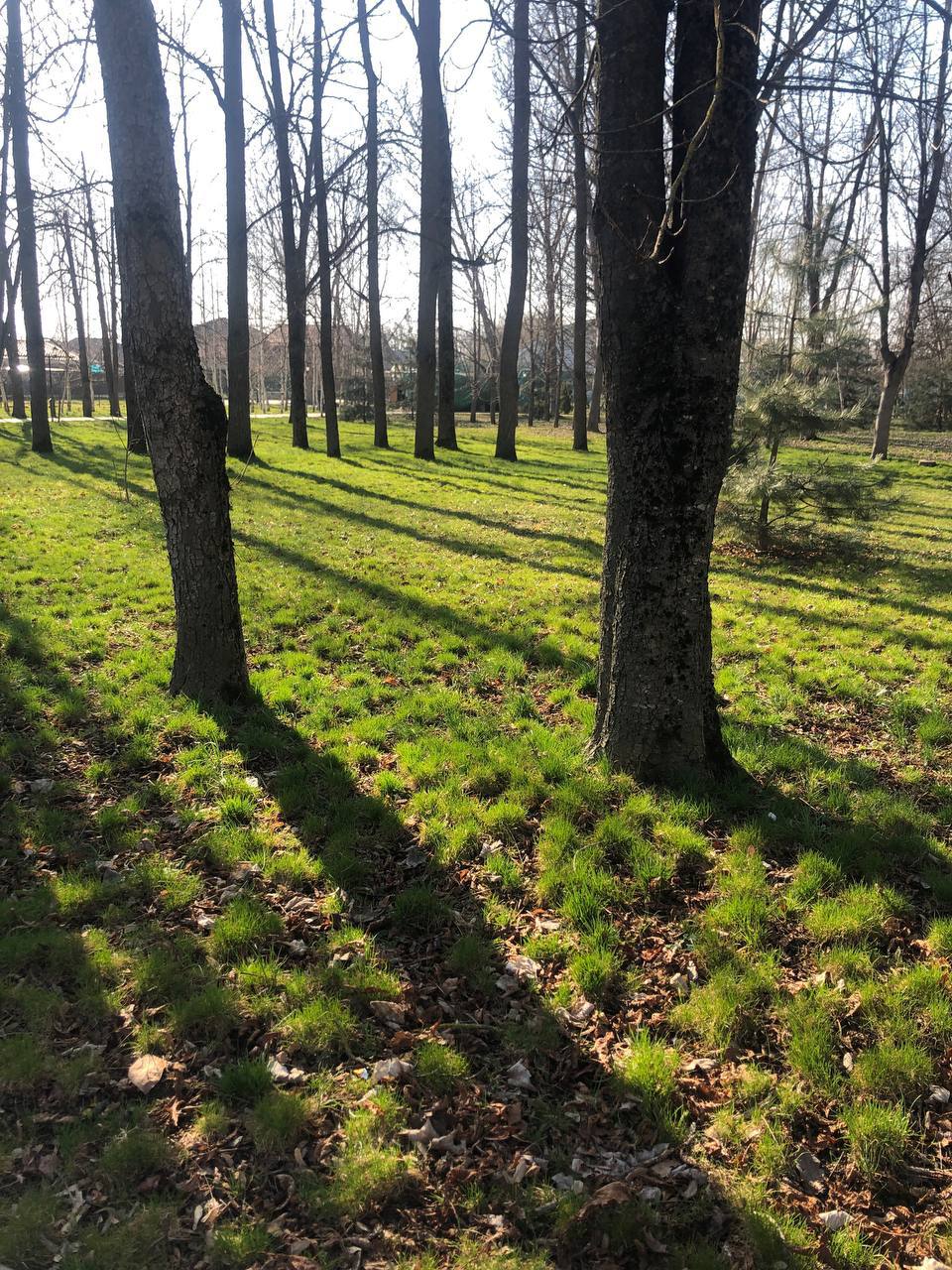 О погоде на 15 марта . В Краснодарском крае небольшая облачность О погоде на 15 марта . В Краснодарском крае небольшая облачность