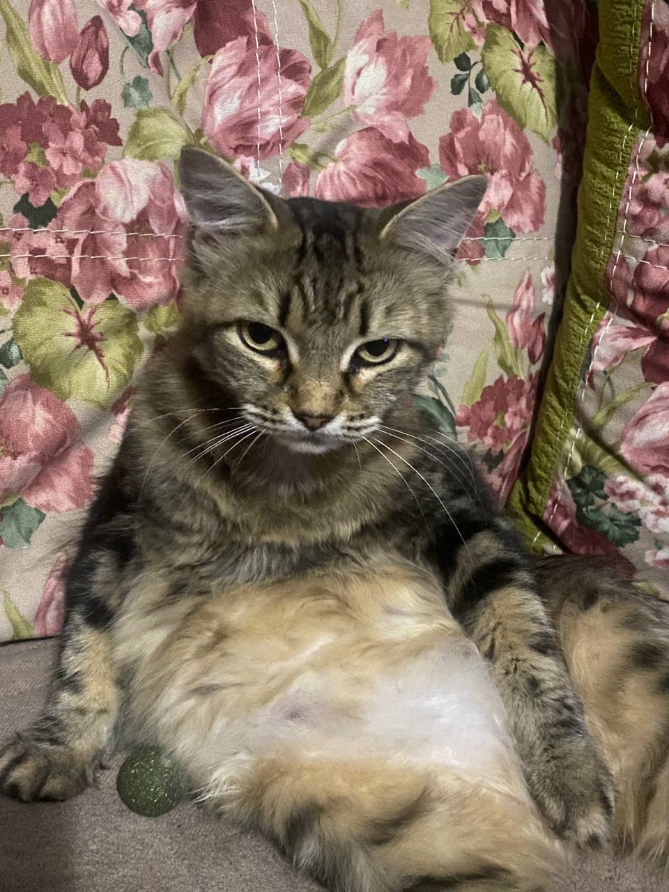 Доброе утро, Кубань!. Краснодар +14 °С Доброе утро, Кубань!. Краснодар +14 °С