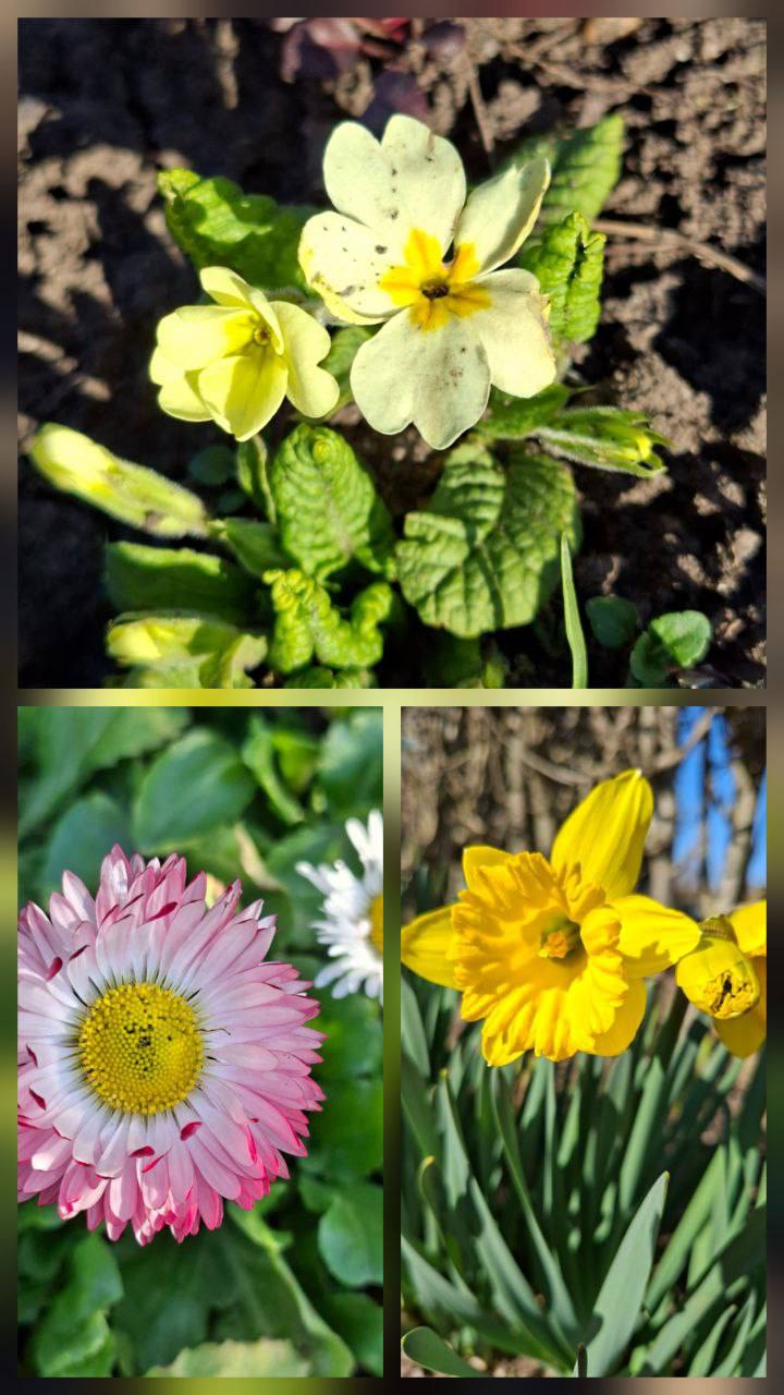 О погоде на 15 марта . В Краснодарском крае небольшая облачность О погоде на 15 марта . В Краснодарском крае небольшая облачность