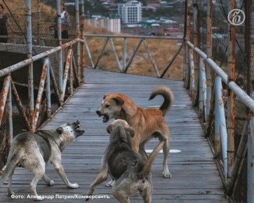 � ���� � 16 �� 22 ����� ������� �������� ����������� �� ������ ������������ �����