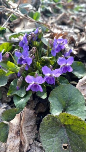 � ������ �� 22 ����� . � ������������� ���� ���������� ����������