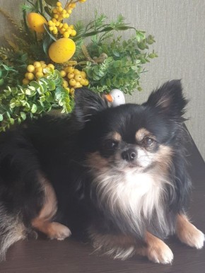 Доброе утро, Кубань!. Краснодар +7…+14°С