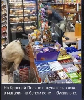 � ���� �������� ���������������� ����������, � ������� ���������� � ���, ��� � �. ������� ������ ������� �� ������ ������ � ���� �� ���������