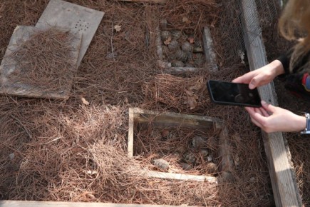 ������ �� �������������� ����������� ���� ������� ������ � ���������� �����������