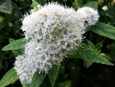 �������� ��� ������ ����: ������� ��� ������