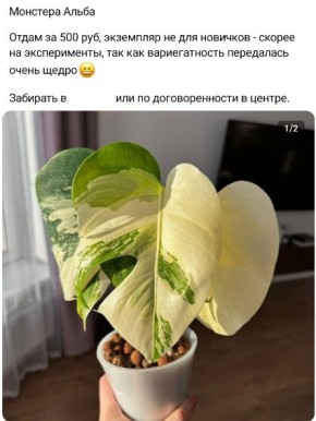 �������� ������������ ��������� �������: ��� ����� �����������