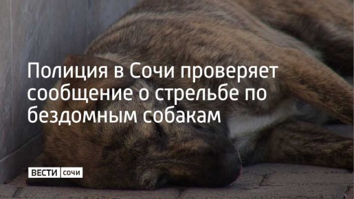 ������� ��������� ��������� ������� � �������� �� ��������� ������� � ������� ������ ����� ������������ ������ ����, �������� �����-������ �� ��� ������ �� �������������� ����