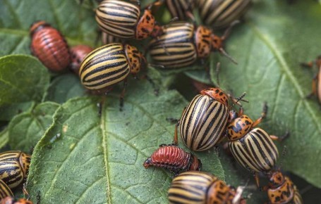 ��������� ������ ������ � ������������ ������ �������� ��������� � �������