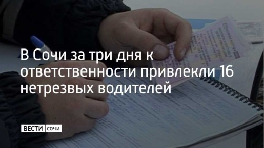 Сотрудники Госавтоинспекции г. Сочи с 23 по 26 марта выявили 16 водителей, управлявших транспортными средствами с признаками опьянения, сообщили в ведомстве