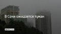 Ночью и утром 29 марта на территории Сочи и федеральной территории Сириус прогнозируют туман