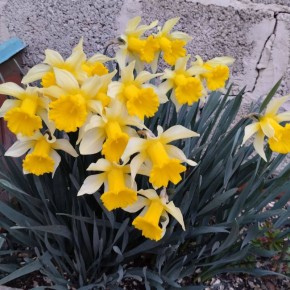 � ������ �� 28 ����� . � ������������� ���� ���������� ����������