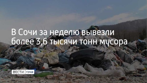 Коммунальные службы Сочи подвели итоги работы за неделю