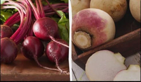 Как правильно сохранить свеклу до весны: проверенные методы