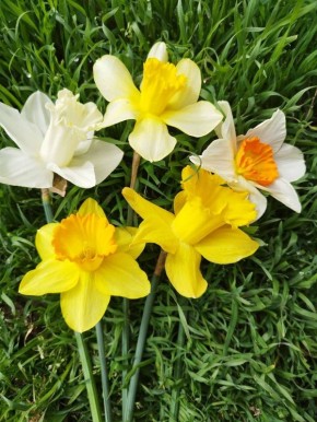 О погоде на 31 марта . В Краснодарском крае облачно с прояснениями