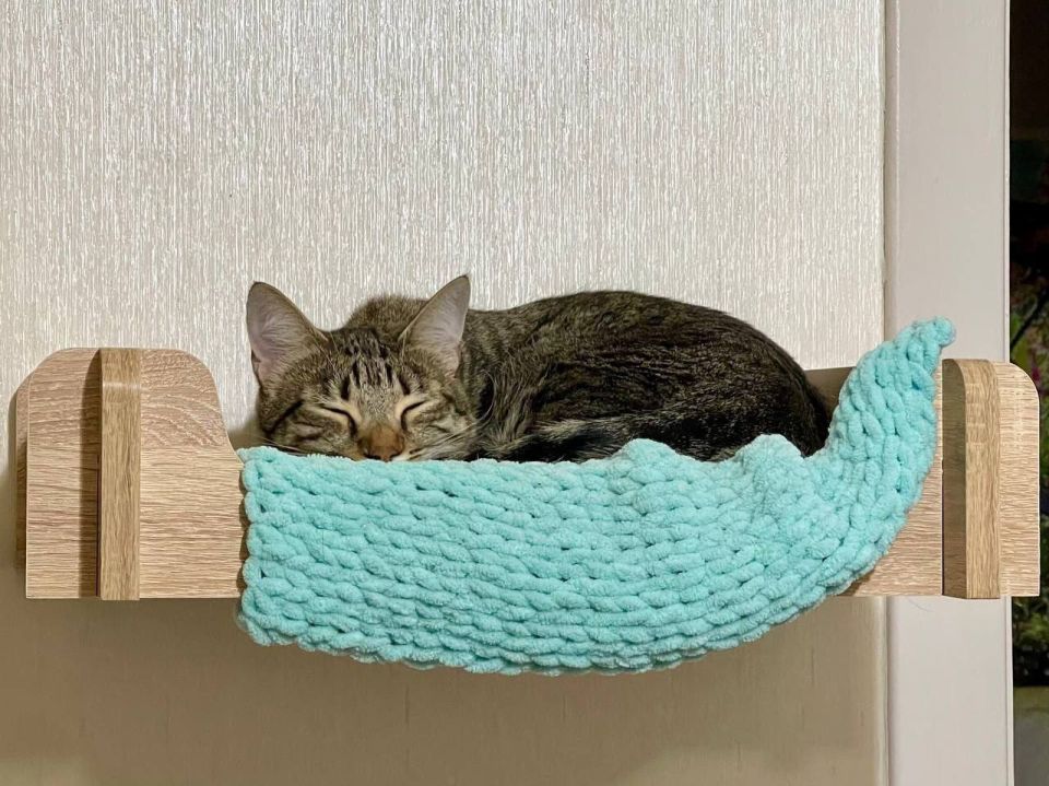 � ������ �� 1 ������ . � ������������� ���� ������� � ������������