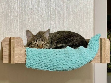 � ������ �� 1 ������ . � ������������� ���� ������� � ������������