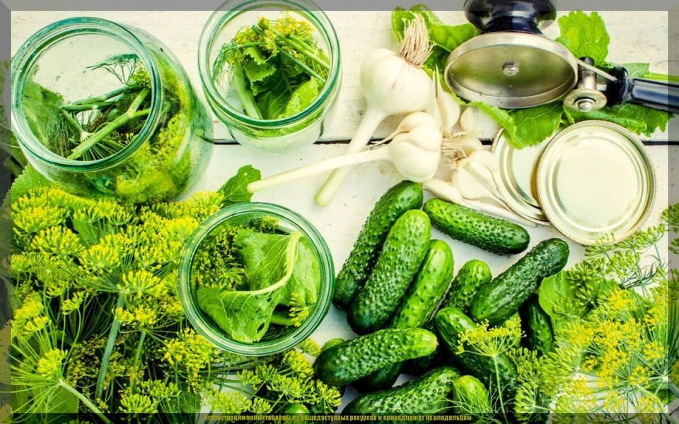 ��� ������� ��������� ������ � ������ ��� �������: ������� ������������ �����������