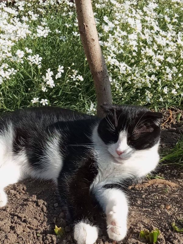 ������ ����, ������!. ��������� +16 ��