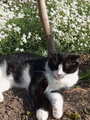 ������ ����, ������!. ��������� +16 ��