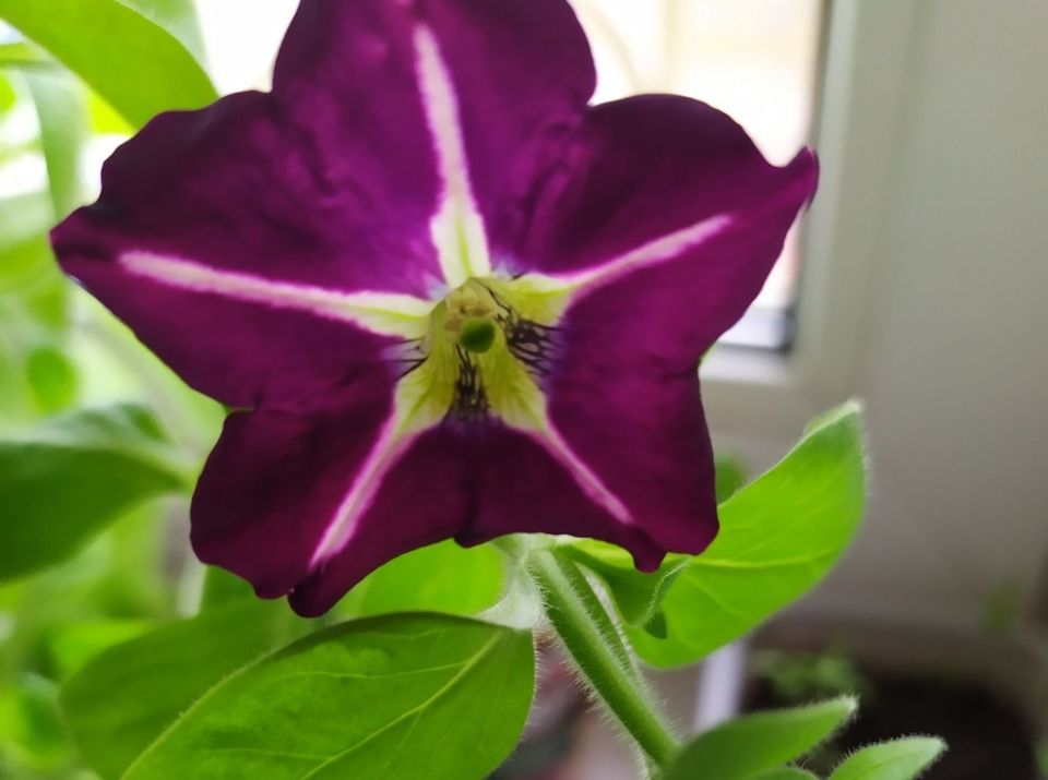 ��� ������, ���� ������� ������ �������