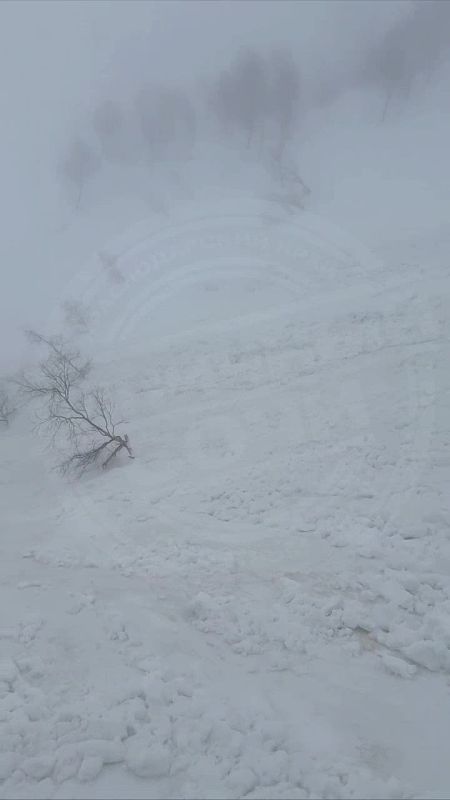 ���������� �������� �������������� ������ � ����� ����