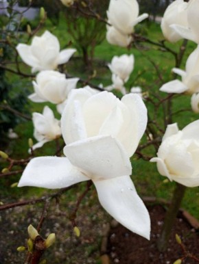 � ������ �� 2 ������ . � ������������� ���� ���������� ����������