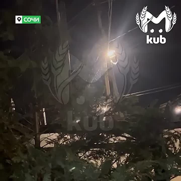 ������ ������ � ����. � ������ �������� ������ ����� ����