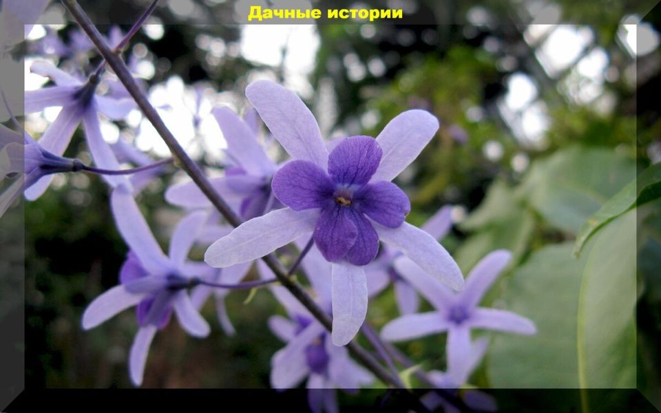 ������: ������������ �����, ��������� �������� ����� ���